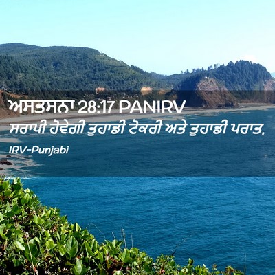 Picture 02 - ਅਸਤਸਨਾ 28:17 PANIRV - ਸਰਾਪੀ ਹੋਵੇਗੀ - Bible Verse Picture