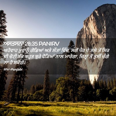 Picture 02 - ਅਸਤਸਨਾ 28:35 PANIRV - ਯਹੋਵਾਹ ਤੁਹਾਨੂੰ - Bible Verse Picture