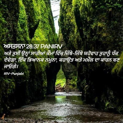 Picture 02 - ਅਸਤਸਨਾ 28:37 PANIRV - ਅਤੇ ਤੁਸੀਂ ਉਨ੍ਹਾਂ - Bible Verse Picture