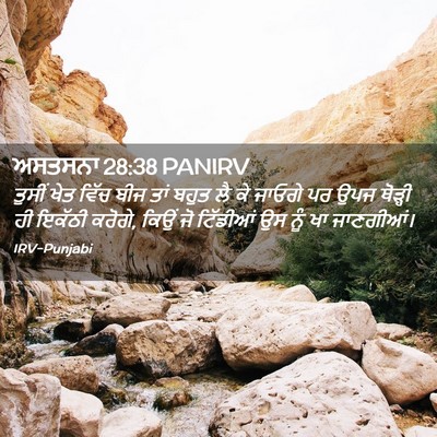 Picture 02 - ਅਸਤਸਨਾ 28:38 PANIRV - ਤੁਸੀਂ ਖੇਤ ਵਿੱਚ ਬੀਜ - Bible Verse Picture