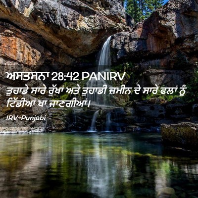 Picture 02 - ਅਸਤਸਨਾ 28:42 PANIRV - ਤੁਹਾਡੇ ਸਾਰੇ - Bible Verse Picture