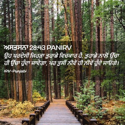 Picture 02 - ਅਸਤਸਨਾ 28:43 PANIRV - ਉਹ ਪਰਦੇਸੀ ਜਿਹੜਾ - Bible Verse Picture
