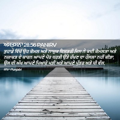 Picture 02 - ਅਸਤਸਨਾ 28:56 PANIRV - ਤੁਹਾਡੇ ਵਿੱਚੋਂ ਉਹ - Bible Verse Picture