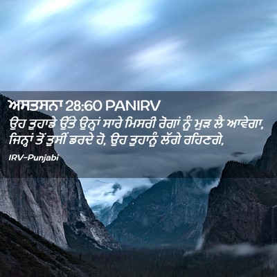 Picture 02 - ਅਸਤਸਨਾ 28:60 PANIRV - ਉਹ ਤੁਹਾਡੇ ਉੱਤੇ - Bible Verse Picture