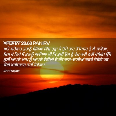 Picture 02 - ਅਸਤਸਨਾ 28:68 PANIRV - ਅਤੇ ਯਹੋਵਾਹ - Bible Verse Picture