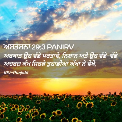 Picture 02 - ਅਸਤਸਨਾ 29:3 PANIRV - ਅਰਥਾਤ ਉਹ ਵੱਡੇ - Bible Verse Picture