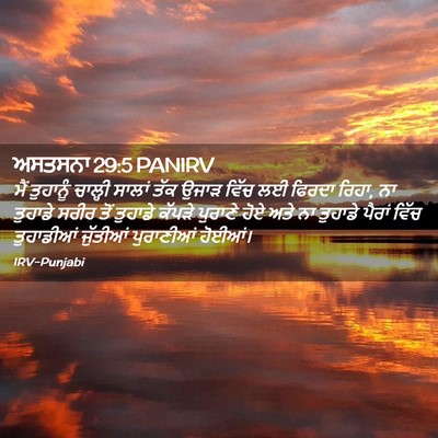 Picture 02 - ਅਸਤਸਨਾ 29:5 PANIRV - ਮੈਂ ਤੁਹਾਨੂੰ - Bible Verse Picture