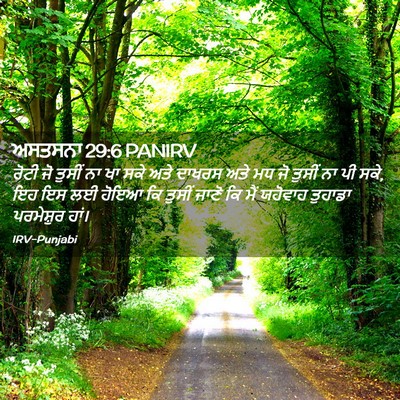 Picture 02 - ਅਸਤਸਨਾ 29:6 PANIRV - ਰੋਟੀ ਜੋ ਤੁਸੀਂ ਨਾ ਖਾ - Bible Verse Picture