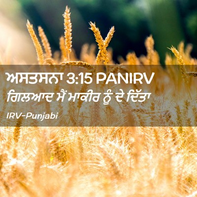 Picture 02 - ਅਸਤਸਨਾ 3:15 PANIRV - ਗਿਲਆਦ ਮੈਂ ਮਾਕੀਰ - Bible Verse Picture