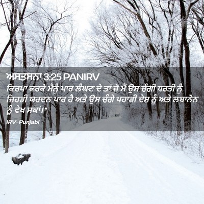 Picture 02 - ਅਸਤਸਨਾ 3:25 PANIRV - ਕਿਰਪਾ ਕਰਕੇ ਮੈਨੂੰ - Bible Verse Picture