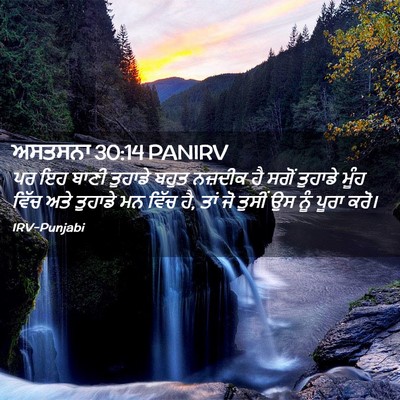 Picture 02 - ਅਸਤਸਨਾ 30:14 PANIRV - ਪਰ ਇਹ ਬਾਣੀ ਤੁਹਾਡੇ - Bible Verse Picture