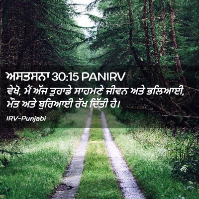 Picture 02 - ਅਸਤਸਨਾ 30:15 PANIRV - ਵੇਖੋ, ਮੈਂ ਅੱਜ - Bible Verse Picture