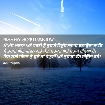 Picture 02 - ਅਸਤਸਨਾ 30:19 PANIRV - ਮੈਂ ਅੱਜ ਅਕਾਸ਼ ਅਤੇ - Bible Verse Picture