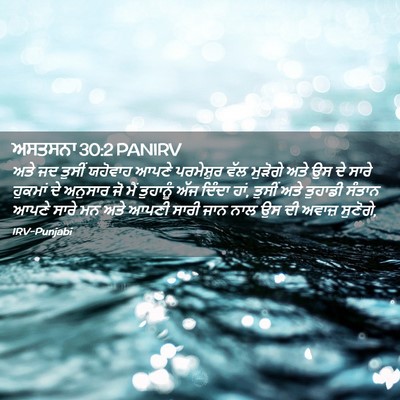Picture 02 - ਅਸਤਸਨਾ 30:2 PANIRV - ਅਤੇ ਜਦ ਤੁਸੀਂ - Bible Verse Picture