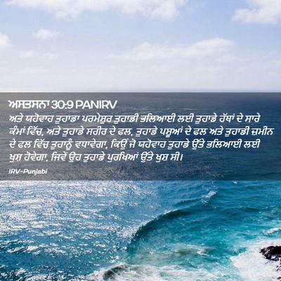 Picture 02 - ਅਸਤਸਨਾ 30:9 PANIRV - ਅਤੇ ਯਹੋਵਾਹ ਤੁਹਾਡਾ - Bible Verse Picture