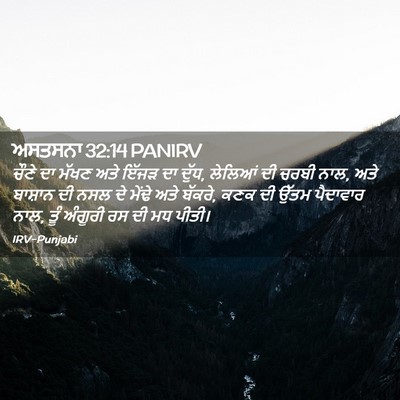 Picture 02 - ਅਸਤਸਨਾ 32:14 PANIRV - ਚੌਣੇ ਦਾ ਮੱਖਣ ਅਤੇ - Bible Verse Picture