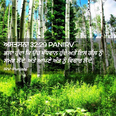 Picture 02 - ਅਸਤਸਨਾ 32:29 PANIRV - ਭਲਾ ਹੁੰਦਾ ਕਿ ਉਹ - Bible Verse Picture