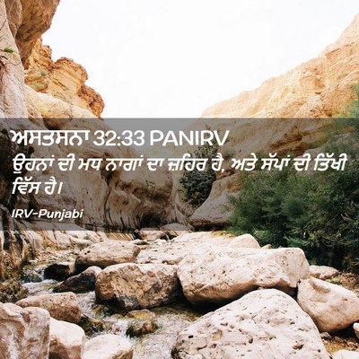 Picture 02 - ਅਸਤਸਨਾ 32:33 PANIRV - ਉਹਨਾਂ ਦੀ ਮਧ ਨਾਗਾਂ - Bible Verse Picture