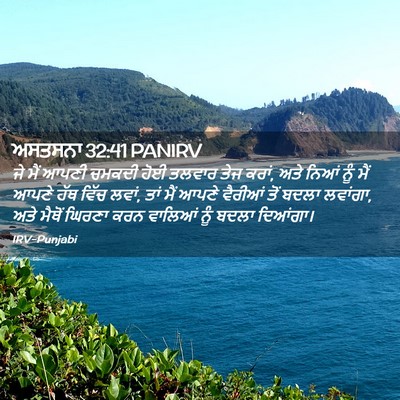 Picture 02 - ਅਸਤਸਨਾ 32:41 PANIRV - ਜੇ ਮੈਂ ਆਪਣੀ ਚਮਕਦੀ - Bible Verse Picture