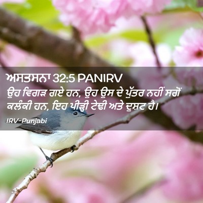 Picture 02 - ਅਸਤਸਨਾ 32:5 PANIRV - ਉਹ ਵਿਗੜ ਗਏ ਹਨ, ਉਹ ਉਸ - Bible Verse Picture
