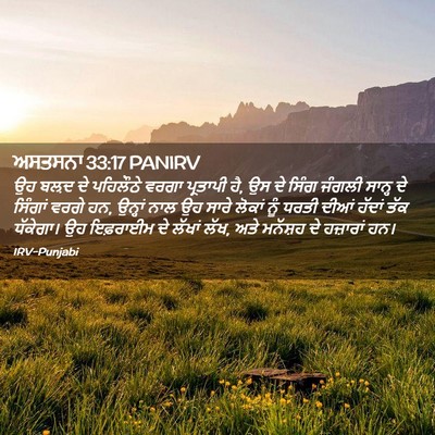 Picture 02 - ਅਸਤਸਨਾ 33:17 PANIRV - ਉਹ ਬਲ਼ਦ ਦੇ ਪਹਿਲੌਠੇ - Bible Verse Picture
