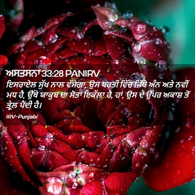Picture 02 - ਅਸਤਸਨਾ 33:28 PANIRV - ਇਸਰਾਏਲ ਸੁੱਖ ਨਾਲ - Bible Verse Picture