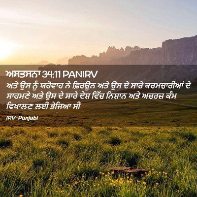 Picture 02 - ਅਸਤਸਨਾ 34:11 PANIRV - ਅਤੇ ਉਸ ਨੂੰ ਯਹੋਵਾਹ - Bible Verse Picture