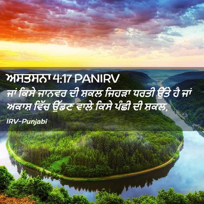 Picture 02 - ਅਸਤਸਨਾ 4:17 PANIRV - ਜਾਂ ਕਿਸੇ ਜਾਨਵਰ ਦੀ - Bible Verse Picture