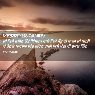 Picture 02 - ਅਸਤਸਨਾ 4:18 PANIRV - ਜਾਂ ਕਿਸੇ ਜ਼ਮੀਨ - Bible Verse Picture