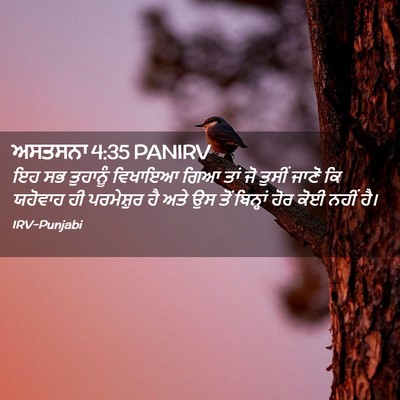 Picture 02 - ਅਸਤਸਨਾ 4:35 PANIRV - ਇਹ ਸਭ ਤੁਹਾਨੂੰ - Bible Verse Picture