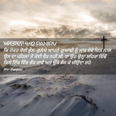Picture 02 - ਅਸਤਸਨਾ 4:42 PANIRV - ਕਿ ਜੇਕਰ ਕੋਈ - Bible Verse Picture