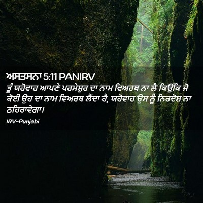 Picture 02 - ਅਸਤਸਨਾ 5:11 PANIRV - ਤੂੰ ਯਹੋਵਾਹ ਆਪਣੇ - Bible Verse Picture