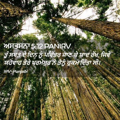 Picture 02 - ਅਸਤਸਨਾ 5:12 PANIRV - ਤੂੰ ਸਬਤ ਦੇ ਦਿਨ ਨੂੰ - Bible Verse Picture