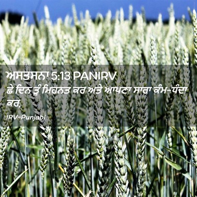 Picture 02 - ਅਸਤਸਨਾ 5:13 PANIRV - ਛੇ ਦਿਨ ਤੂੰ ਮਿਹਨਤ ਕਰ - Bible Verse Picture