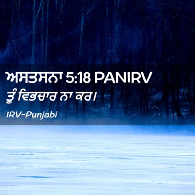 Picture 02 - ਅਸਤਸਨਾ 5:18 PANIRV - ਤੂੰ ਵਿਭਚਾਰ ਨਾ - Bible Verse Picture