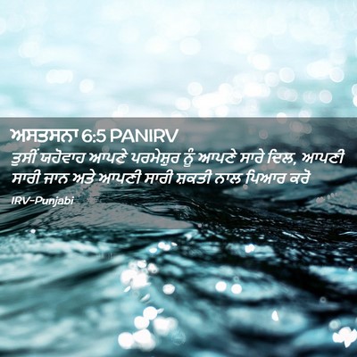 Picture 02 - ਅਸਤਸਨਾ 6:5 PANIRV - ਤੁਸੀਂ ਯਹੋਵਾਹ ਆਪਣੇ - Bible Verse Picture