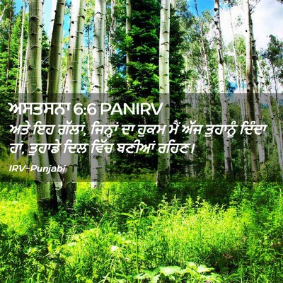 Picture 02 - ਅਸਤਸਨਾ 6:6 PANIRV - ਅਤੇ ਇਹ ਗੱਲਾਂ, - Bible Verse Picture