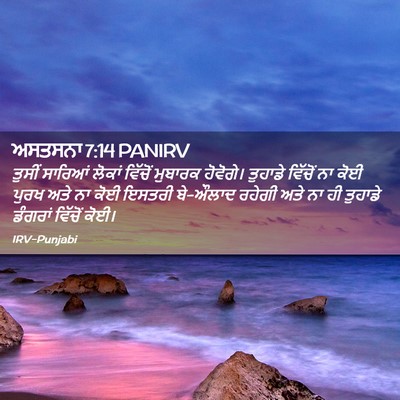 Picture 02 - ਅਸਤਸਨਾ 7:14 PANIRV - ਤੁਸੀਂ ਸਾਰਿਆਂ - Bible Verse Picture