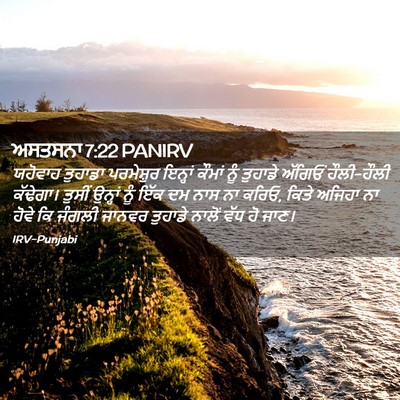 Picture 02 - ਅਸਤਸਨਾ 7:22 PANIRV - ਯਹੋਵਾਹ ਤੁਹਾਡਾ - Bible Verse Picture