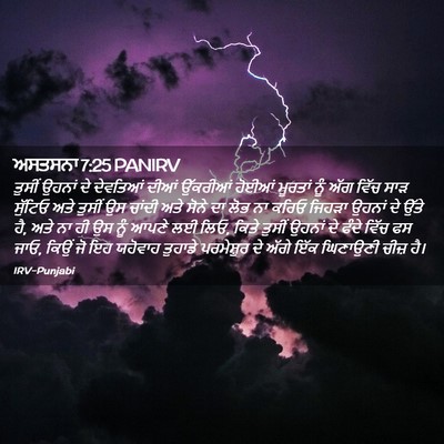 Picture 02 - ਅਸਤਸਨਾ 7:25 PANIRV - ਤੁਸੀਂ ਉਹਨਾਂ ਦੇ - Bible Verse Picture