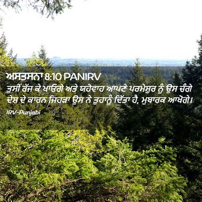 Picture 02 - ਅਸਤਸਨਾ 8:10 PANIRV - ਤੁਸੀਂ ਰੱਜ ਕੇ ਖਾਓਗੇ - Bible Verse Picture