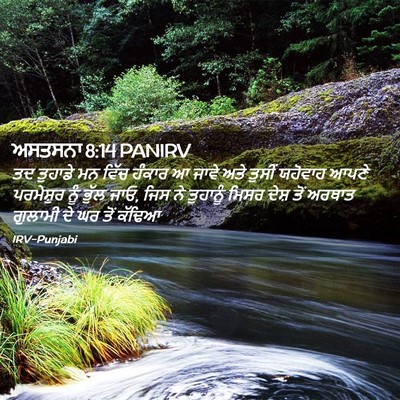 Picture 02 - ਅਸਤਸਨਾ 8:14 PANIRV - ਤਦ ਤੁਹਾਡੇ ਮਨ ਵਿੱਚ - Bible Verse Picture