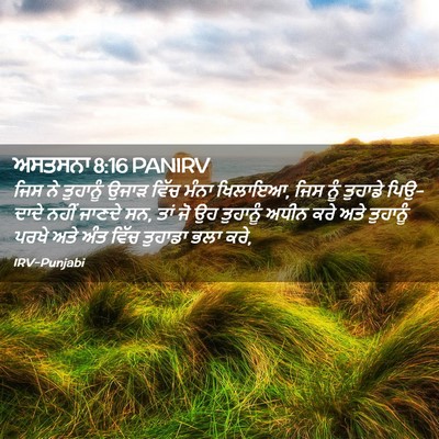 Picture 02 - ਅਸਤਸਨਾ 8:16 PANIRV - ਜਿਸ ਨੇ ਤੁਹਾਨੂੰ - Bible Verse Picture
