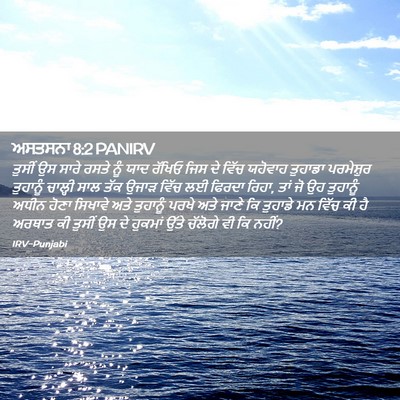 Picture 02 - ਅਸਤਸਨਾ 8:2 PANIRV - ਤੁਸੀਂ ਉਸ ਸਾਰੇ ਰਸਤੇ - Bible Verse Picture