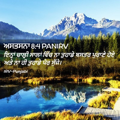Picture 02 - ਅਸਤਸਨਾ 8:4 PANIRV - ਇਨ੍ਹਾਂ ਚਾਲ੍ਹੀ - Bible Verse Picture