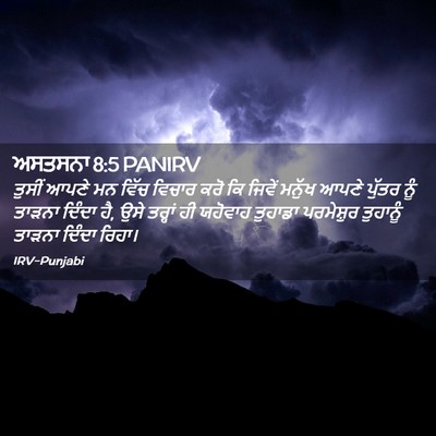 Picture 02 - ਅਸਤਸਨਾ 8:5 PANIRV - ਤੁਸੀਂ ਆਪਣੇ ਮਨ ਵਿੱਚ - Bible Verse Picture