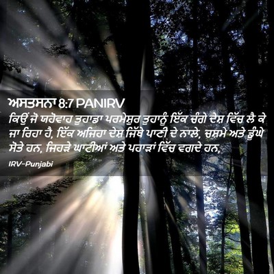 Picture 02 - ਅਸਤਸਨਾ 8:7 PANIRV - ਕਿਉਂ ਜੋ ਯਹੋਵਾਹ - Bible Verse Picture