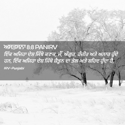 Picture 02 - ਅਸਤਸਨਾ 8:8 PANIRV - ਇੱਕ ਅਜਿਹਾ ਦੇਸ਼ - Bible Verse Picture
