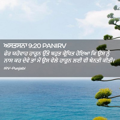 Picture 02 - ਅਸਤਸਨਾ 9:20 PANIRV - ਫੇਰ ਯਹੋਵਾਹ ਹਾਰੂਨ - Bible Verse Picture