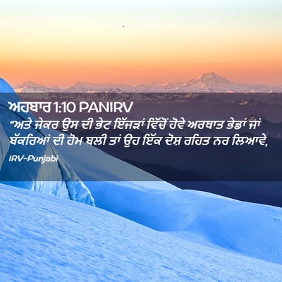 Picture 02 - ਅਹਬਾਰ 1:10 PANIRV - “ਅਤੇ ਜੇਕਰ ਉਸ ਦੀ ਭੇਟ - Bible Verse Picture